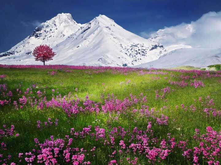 RastiLand